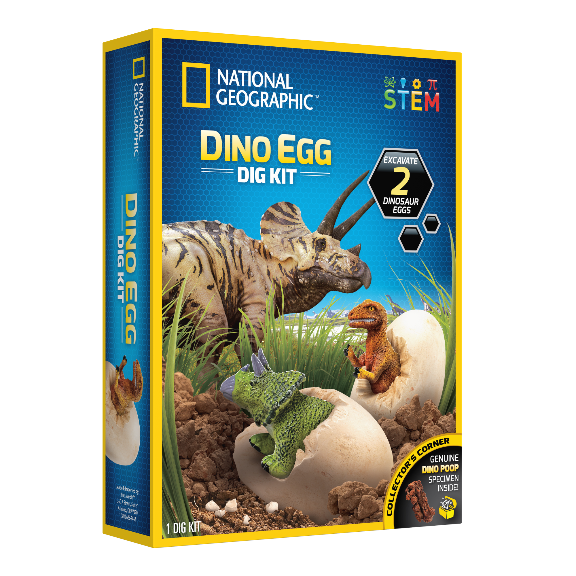 National Geographic: Dino Egg Dig Kit Paper Plus