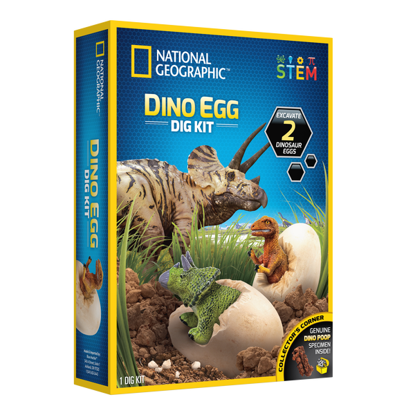 National Geographic: Dino Egg Dig Kit Paper Plus