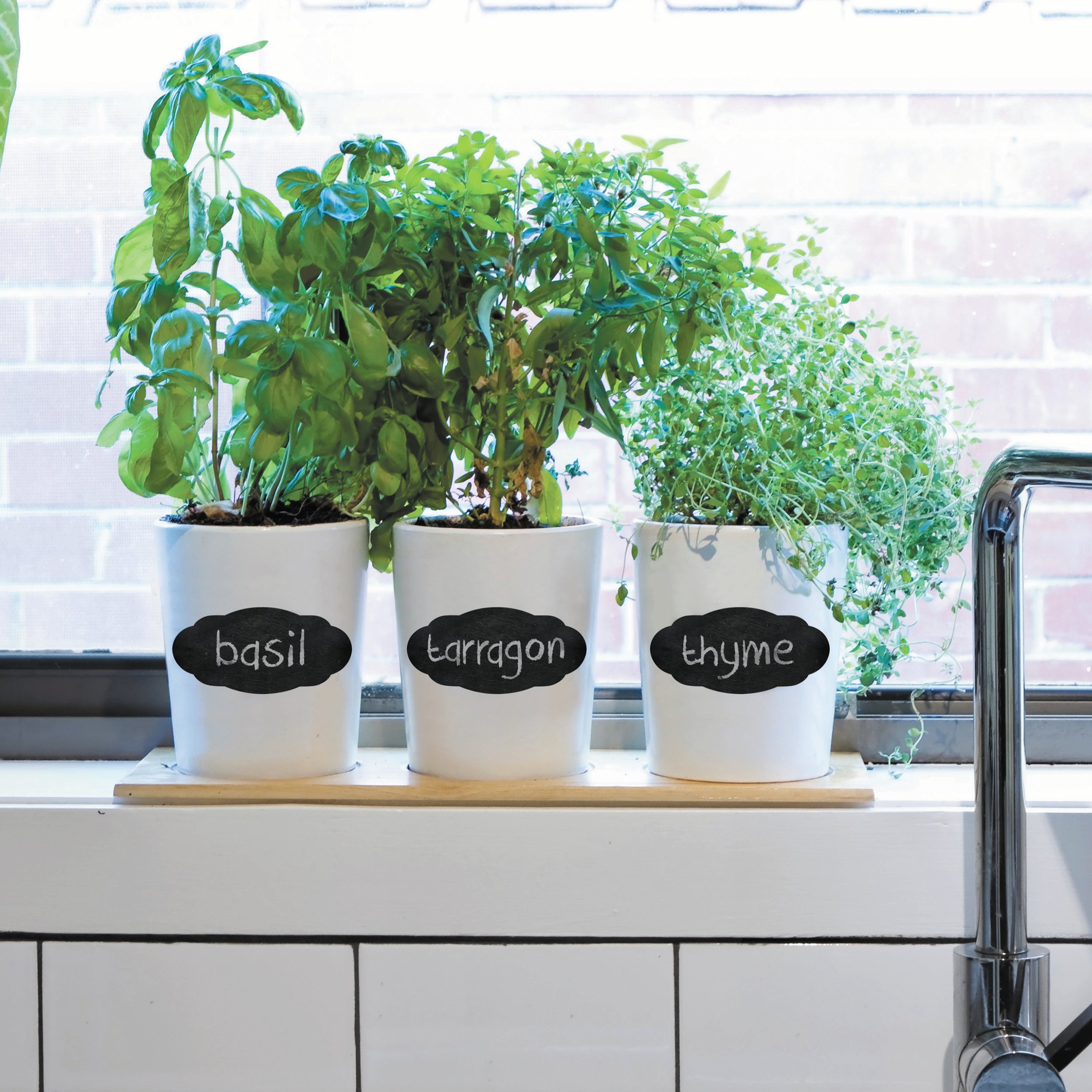 Avery Chalkboard Labels Scallop | Paper Plus