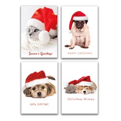 Christmas Boxed Cards Value Cute Photographic 16 Pack