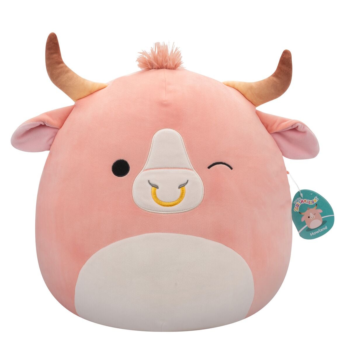 RESERVED Squishmallow online bundle for Hannah Craft