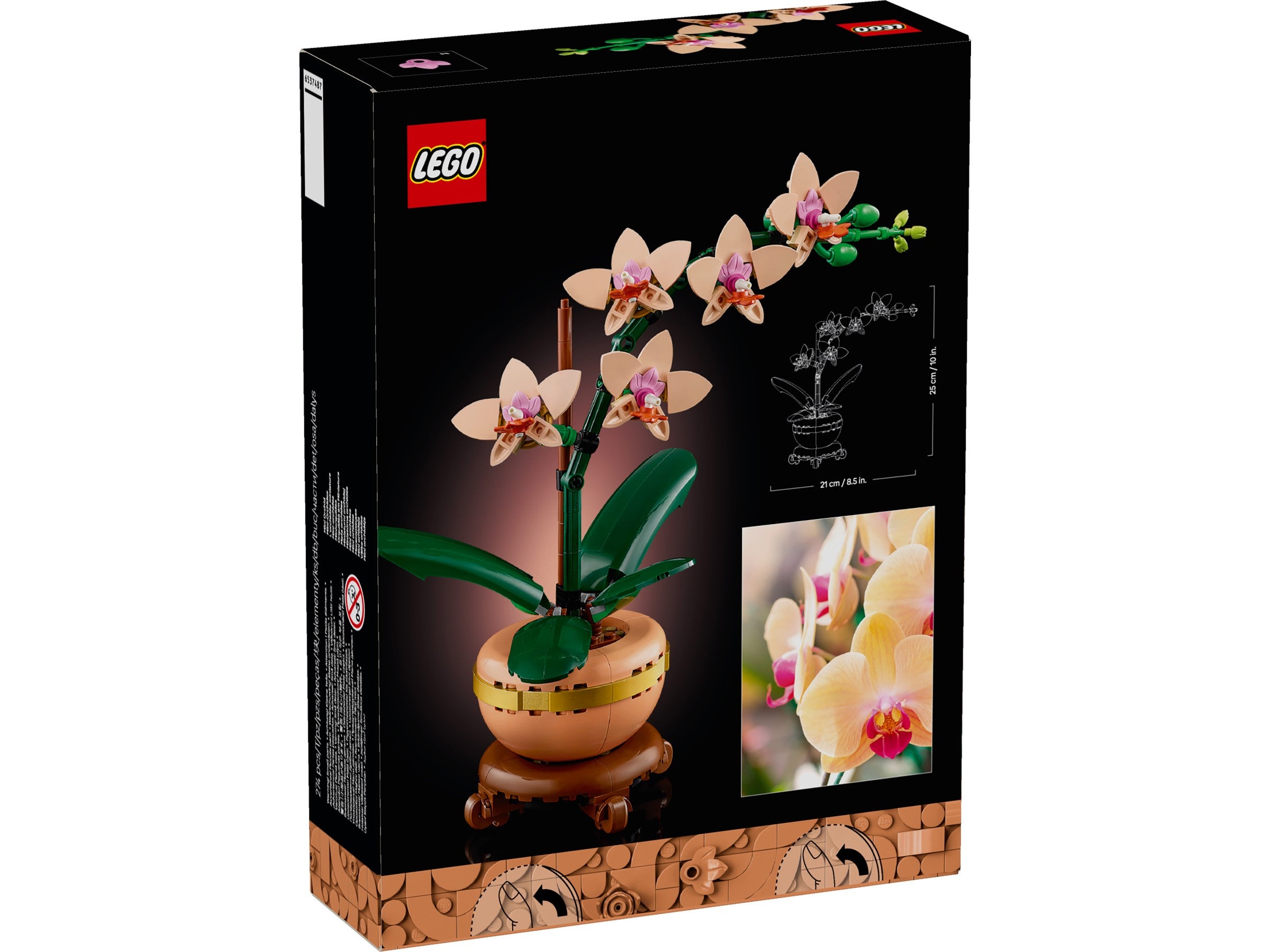 LEGO Botanicals: Mini Orchid 10343 | Paper Plus