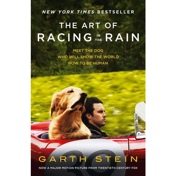 The Art of Racing in the Rain -