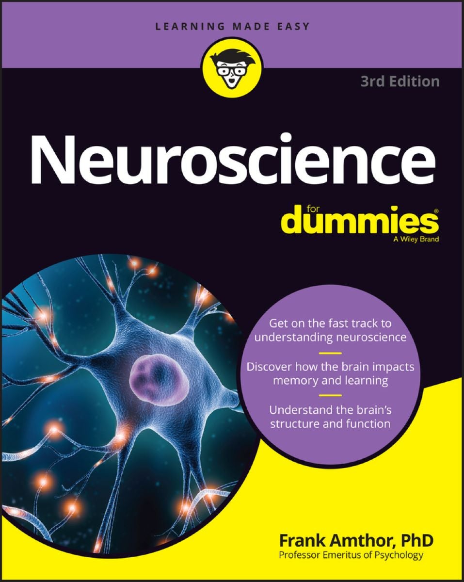 Neuroscience For Dummies by Frank Amthor | Paper Plus