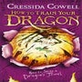 How to Train Your Dragon: How to Seize a Dragon's Jewel -