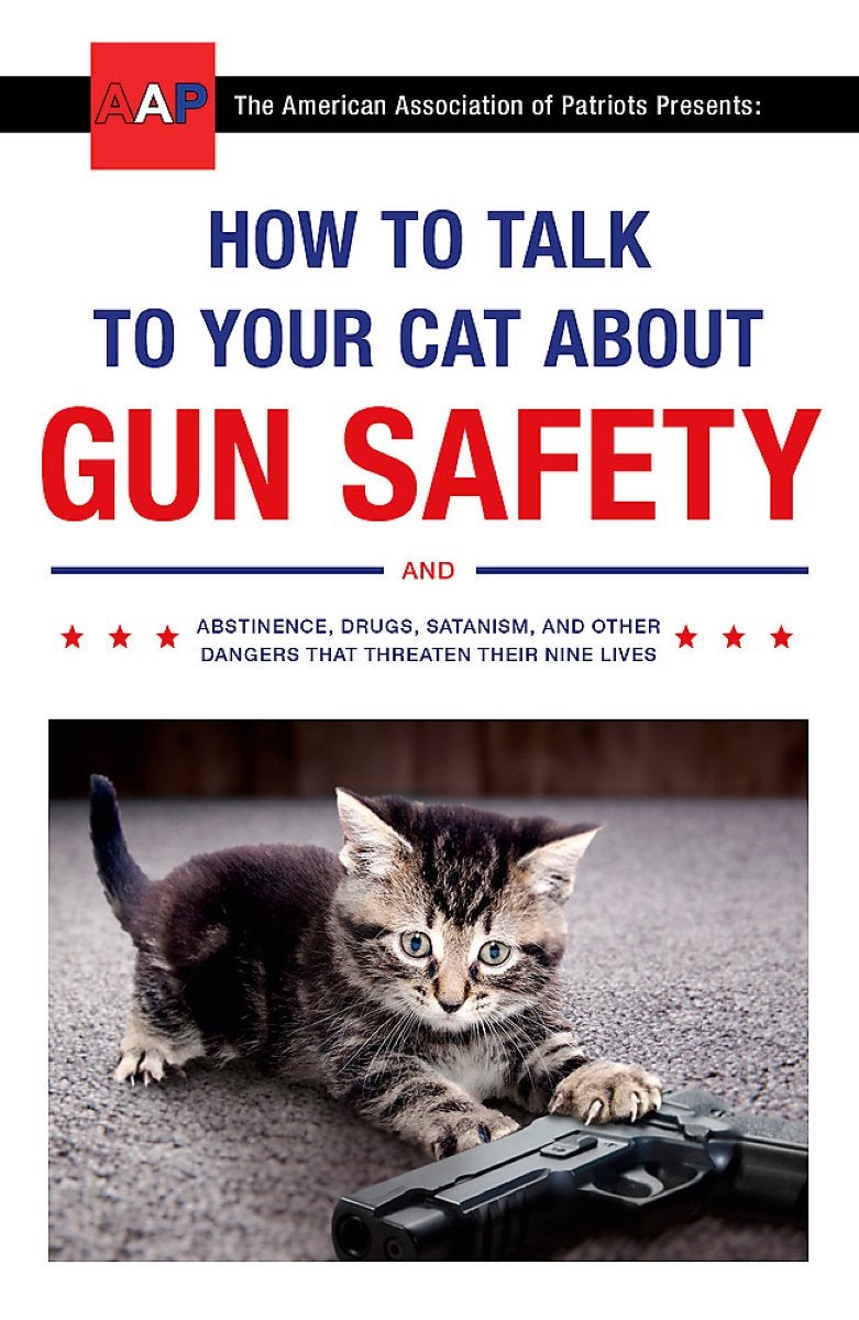 How to Talk to Your Cat About Gun Safety by Zachary Auburn Paper
