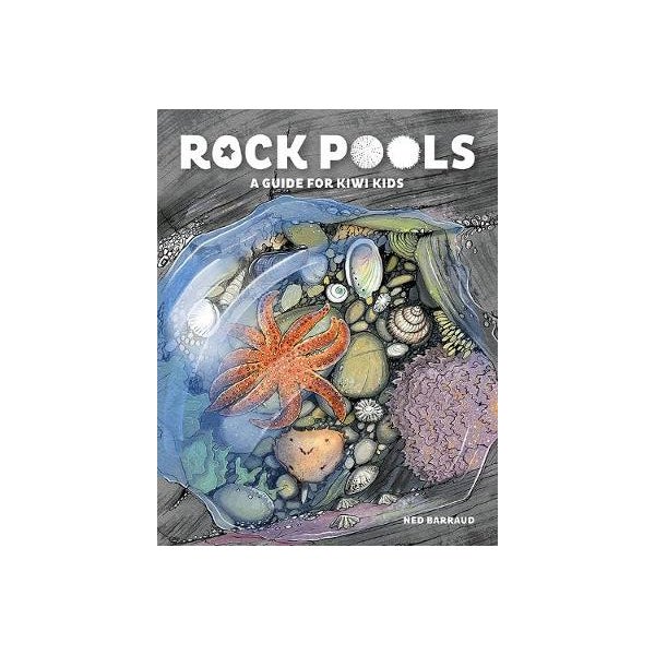 Rock Pool. Book Rock Pools by Ned Barraud | Paper Plus