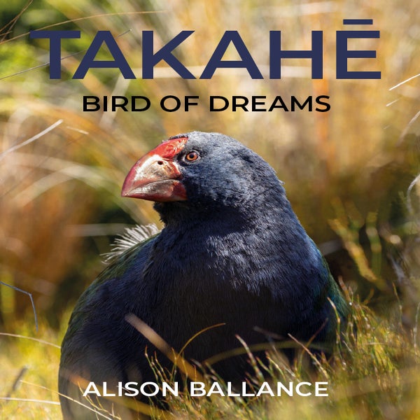 Takahe -